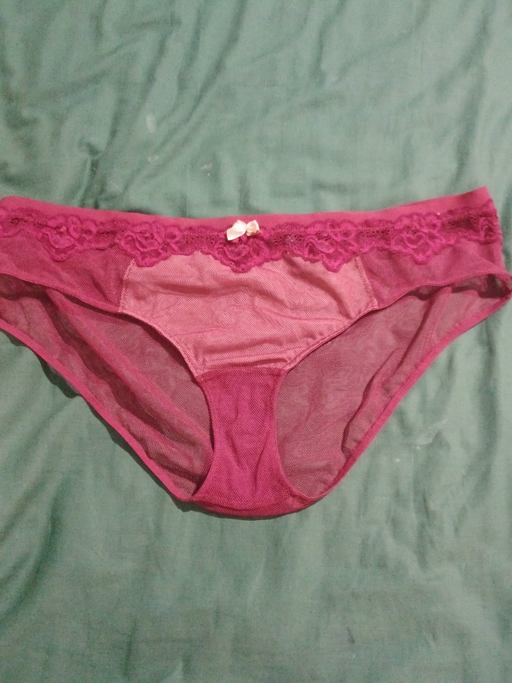 Adore Me Sheer Lace Bikini Panty - Fuchsia